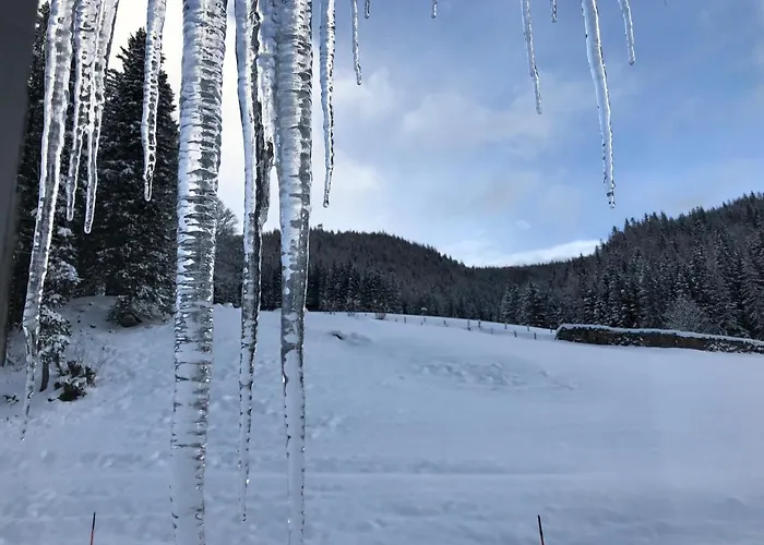 شاليه Anno 1794 Rettenegg